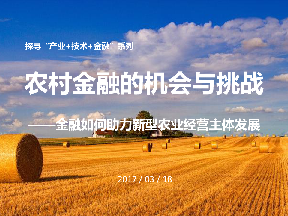 研讨会：农村金融的机会与挑战.pptx