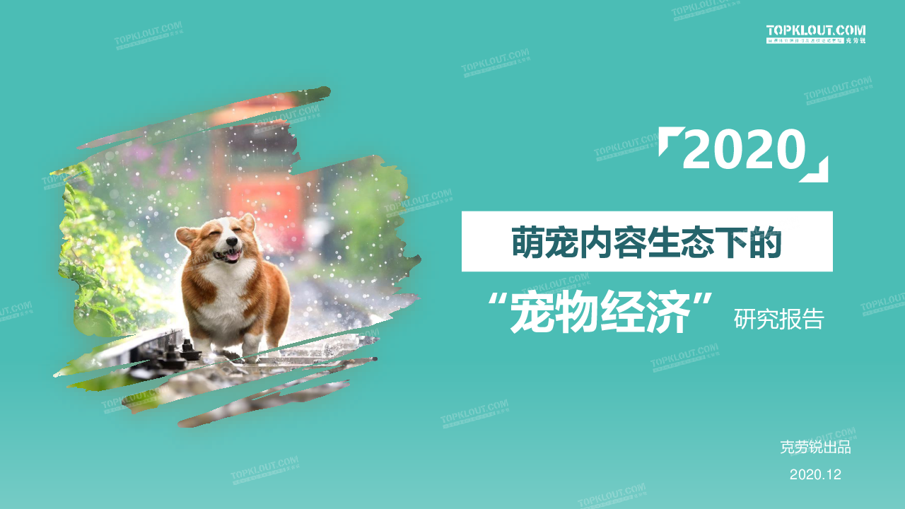 【毕友福利】2020萌宠内容生态下的宠物经济-克劳锐-202012.pdf