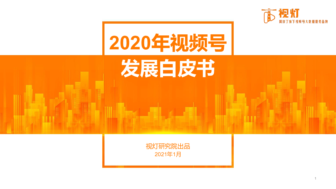 【毕友福利】2020视频号发展白皮书-视灯数据.pdf