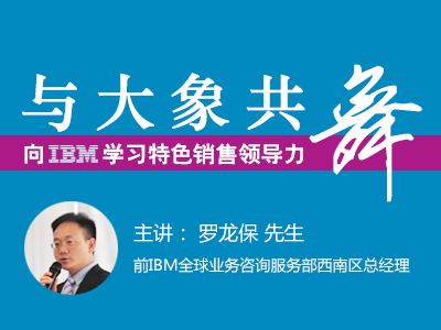 与大象共舞，向IBM学习特色销售领导力