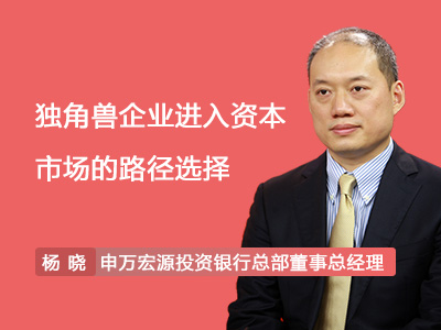 独角兽企业进入资本市场的路径选择